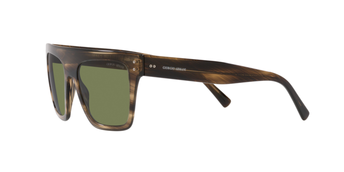 Giorgio Armani Sunglasses AR8177 54092A