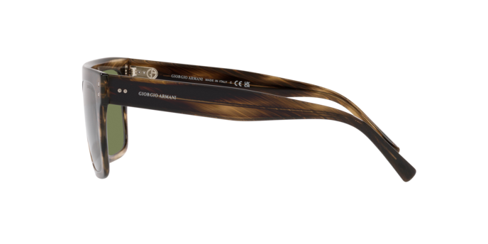 Giorgio Armani Sunglasses AR8177 54092A