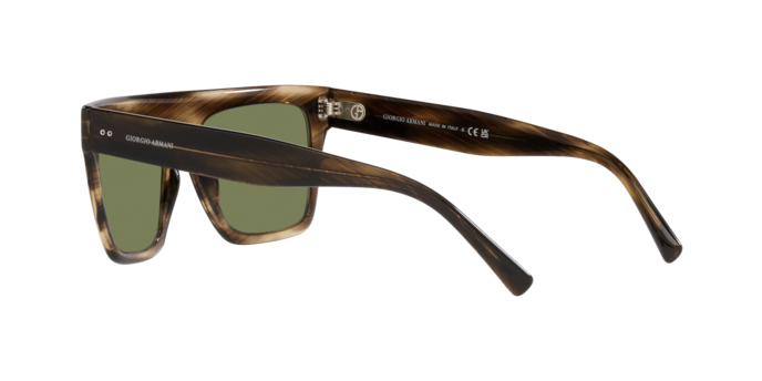 Giorgio Armani Sunglasses AR8177 54092A