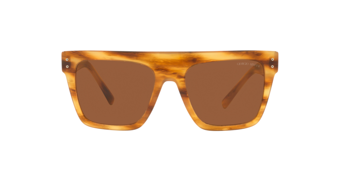 Giorgio Armani Sunglasses AR8177 592173