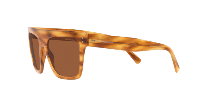 Giorgio Armani Sunglasses AR8177 592173