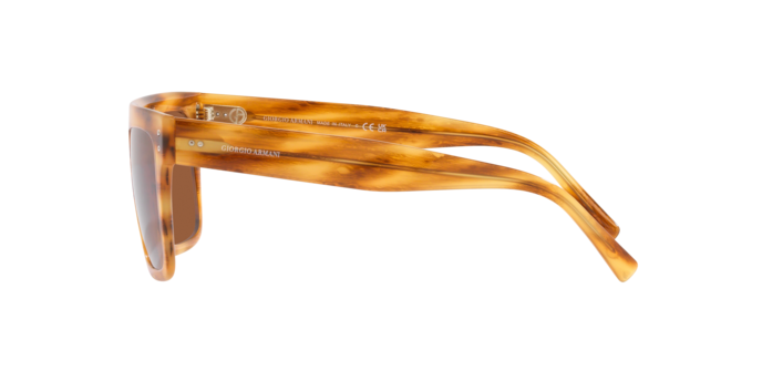 Giorgio Armani Sunglasses AR8177 592173