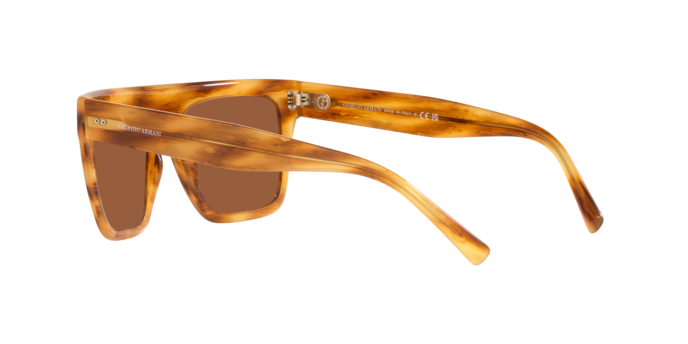 Giorgio Armani Sunglasses AR8177 592173