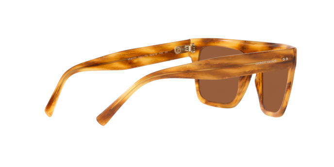 Giorgio Armani Sunglasses AR8177 592173