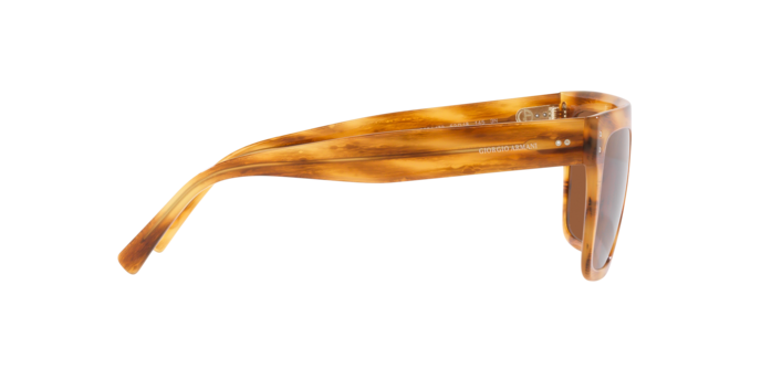 Giorgio Armani Sunglasses AR8177 592173