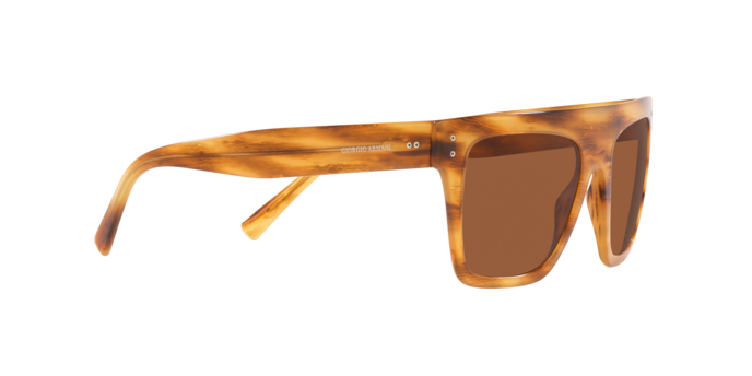 Giorgio Armani Sunglasses AR8177 592173