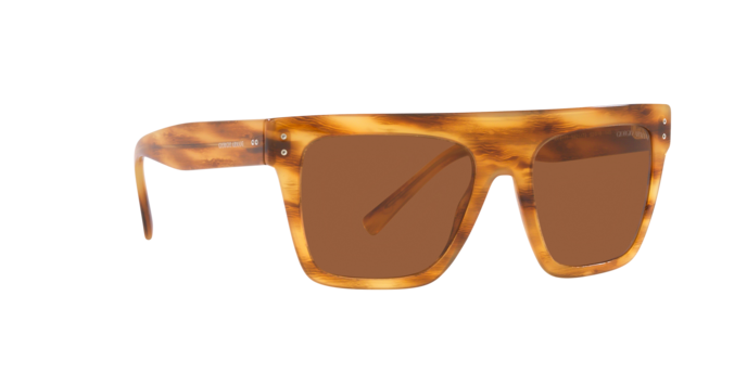 Giorgio Armani Sunglasses AR8177 592173