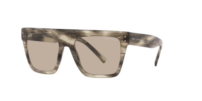 Giorgio Armani Sunglasses AR8177 5922/3