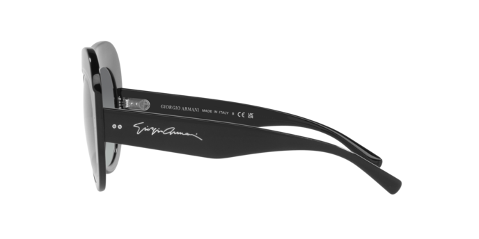 Giorgio Armani Sunglasses AR8178 500111