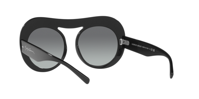 Giorgio Armani Sunglasses AR8178 500111