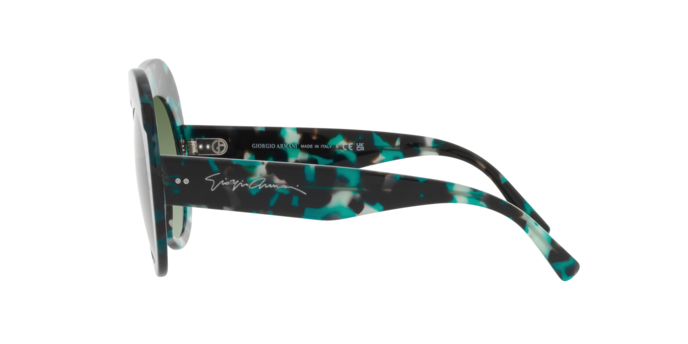 Giorgio Armani Sunglasses AR8178 56558E