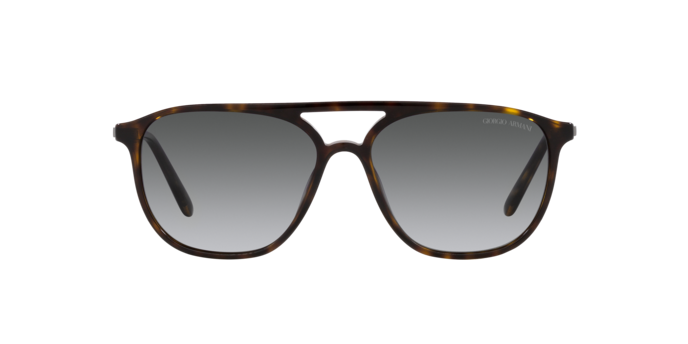 Giorgio Armani Sunglasses AR8179 5026T3