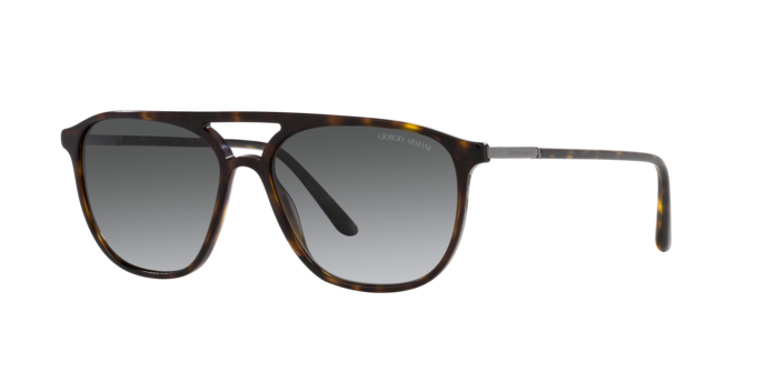Giorgio Armani Sunglasses AR8179 5026T3