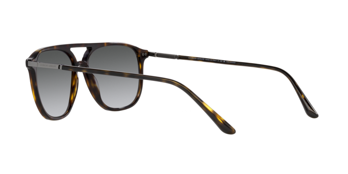 Giorgio Armani Sunglasses AR8179 5026T3