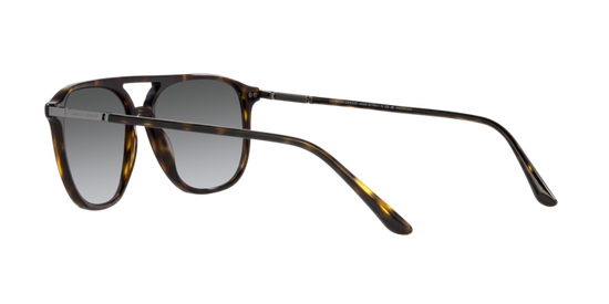 Giorgio Armani Sunglasses AR8179 5026T3