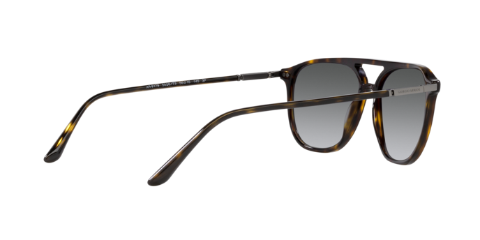 Giorgio Armani Sunglasses AR8179 5026T3