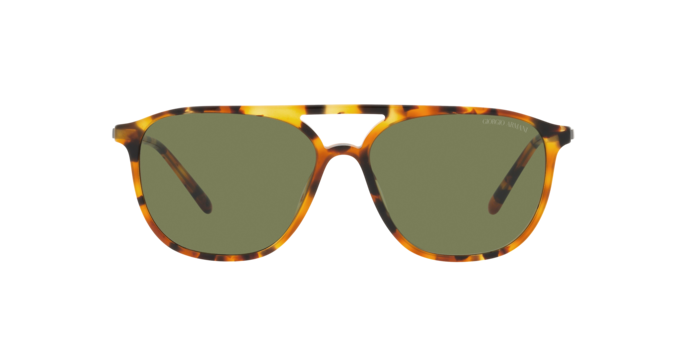 Giorgio Armani Sunglasses AR8179 54822A