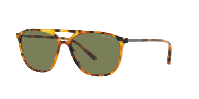 Giorgio Armani Sunglasses AR8179 54822A