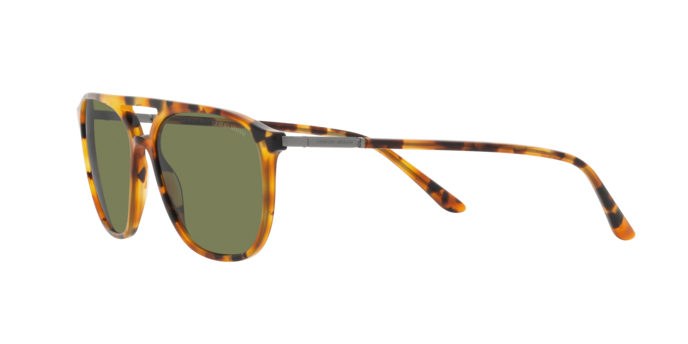 Giorgio Armani Sunglasses AR8179 54822A