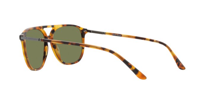 Giorgio Armani Sunglasses AR8179 54822A