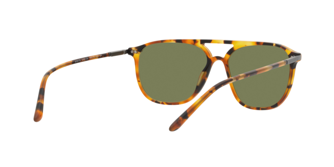 Giorgio Armani Sunglasses AR8179 54822A