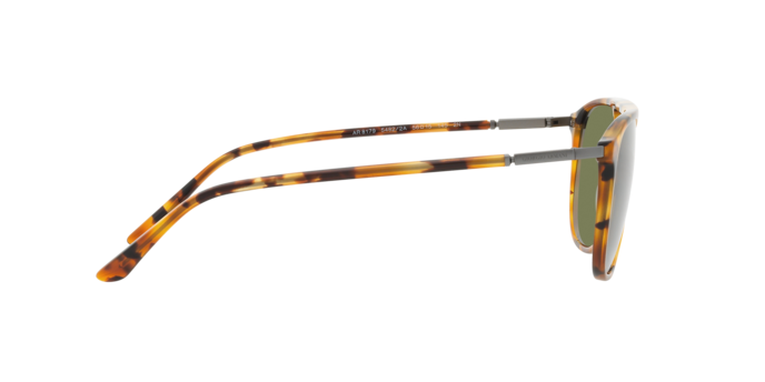 Giorgio Armani Sunglasses AR8179 54822A