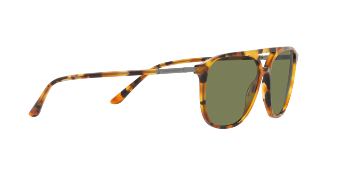 Giorgio Armani Sunglasses AR8179 54822A