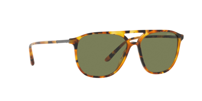 Giorgio Armani Sunglasses AR8179 54822A