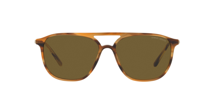 Giorgio Armani Sunglasses AR8179 600273