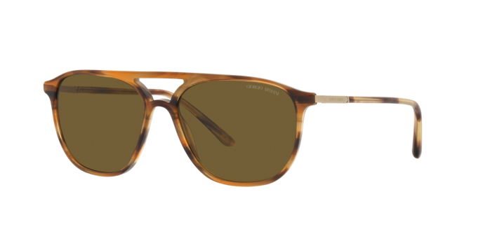 Giorgio Armani Sunglasses AR8179 600273