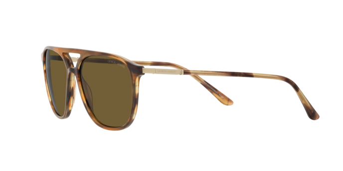 Giorgio Armani Sunglasses AR8179 600273