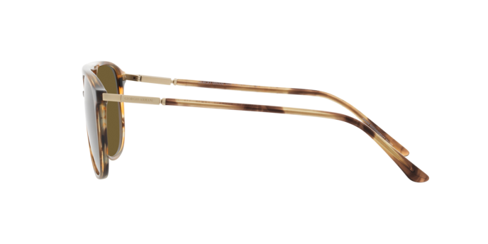 Giorgio Armani Sunglasses AR8179 600273