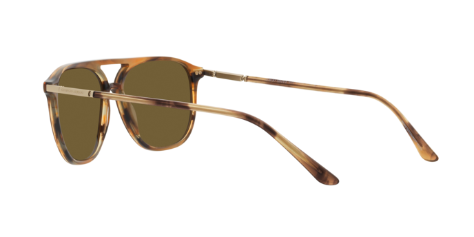 Giorgio Armani Sunglasses AR8179 600273