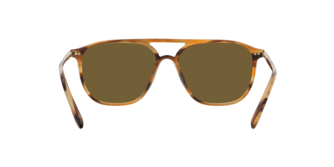Giorgio Armani Sunglasses AR8179 600273