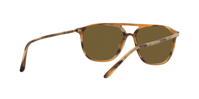 Giorgio Armani Sunglasses AR8179 600273