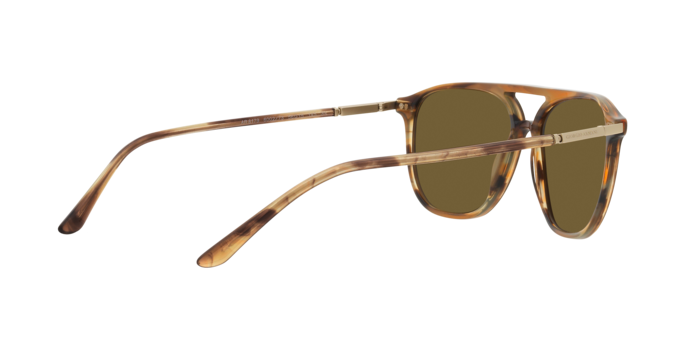 Giorgio Armani Sunglasses AR8179 600273