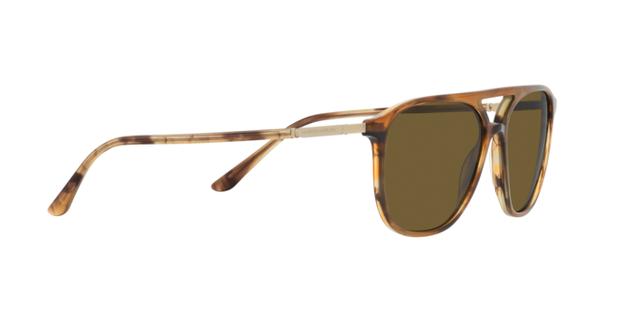Giorgio Armani Sunglasses AR8179 600273