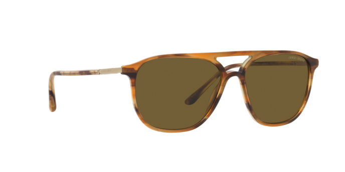 Giorgio Armani Sunglasses AR8179 600273