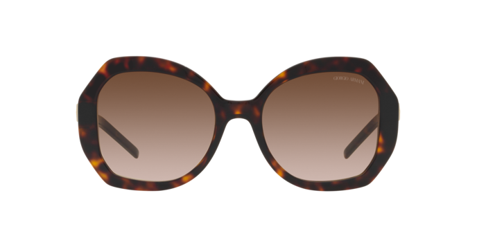 Giorgio Armani Sunglasses AR8180 502613