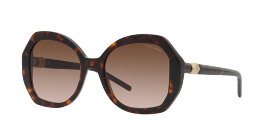 Giorgio Armani Sunglasses AR8180 502613