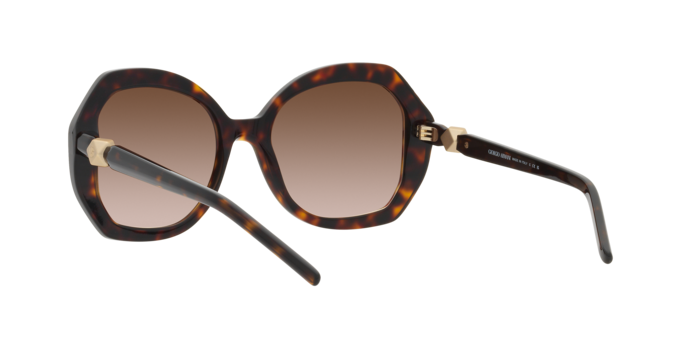 Giorgio Armani Sunglasses AR8180 502613