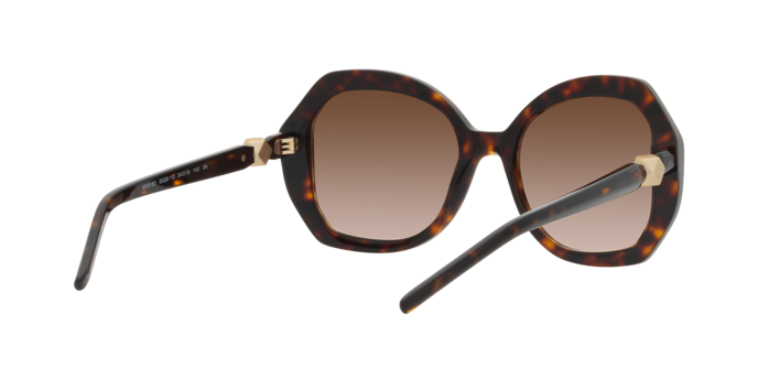 Giorgio Armani Sunglasses AR8180 502613