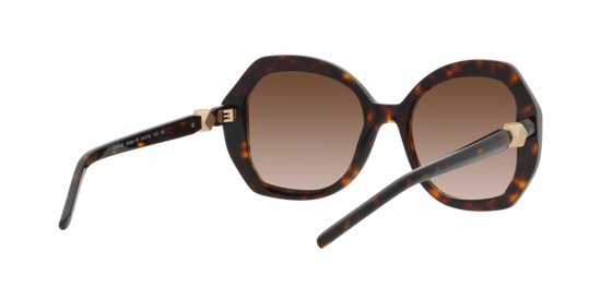 Giorgio Armani Sunglasses AR8180 502613