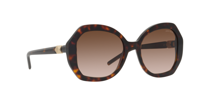 Giorgio Armani Sunglasses AR8180 502613