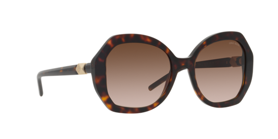 Giorgio Armani Sunglasses AR8180 502613