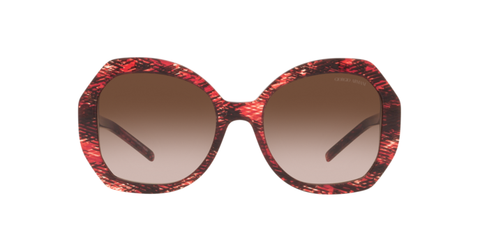 Giorgio Armani Sunglasses AR8180 600113