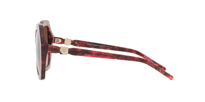 Giorgio Armani Sunglasses AR8180 600113