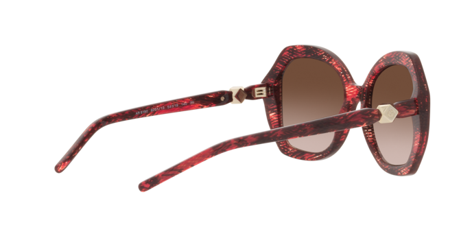 Giorgio Armani Sunglasses AR8180 600113