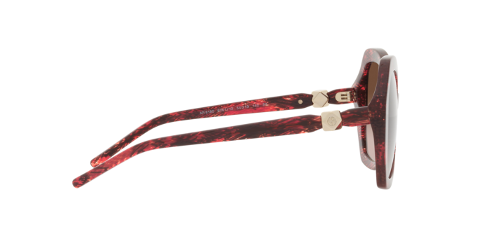 Giorgio Armani Sunglasses AR8180 600113