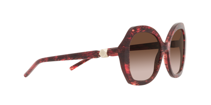 Giorgio Armani Sunglasses AR8180 600113